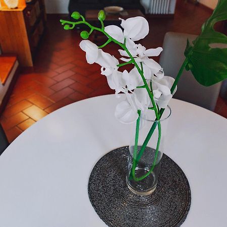 피렌체 Borgo Pinti 49 아파트 외부 사진