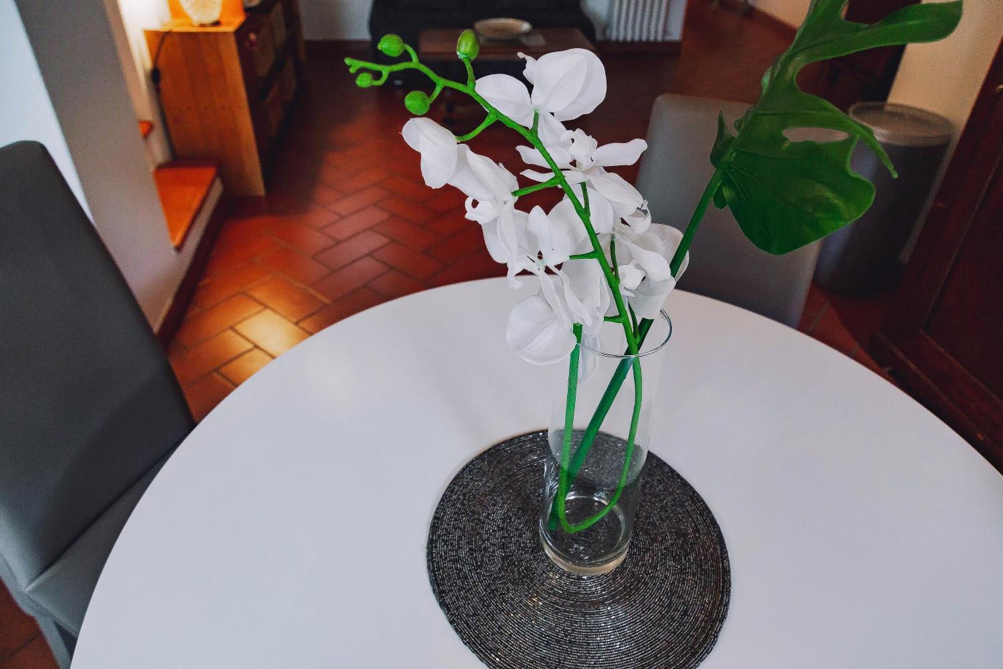피렌체 Borgo Pinti 49 아파트 외부 사진